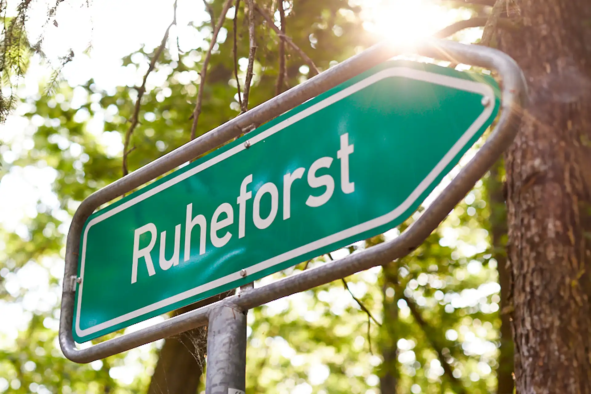 Waldbestattung im RuheForst Schlaubetal